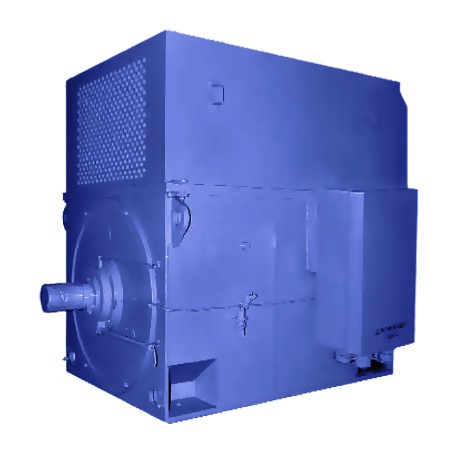 Визуальный вид Электродвигатель асинхронный АДЧР-1250-6У1 - дополнительное фото